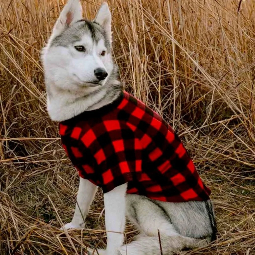 Plaid Dog Sweater - Red and Black